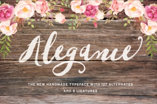 Alegance Typeface Font Download