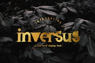 Inversus – a slab serif display font Font Download