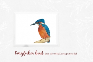 Kingfisher - modern calligraphy font Font Download
