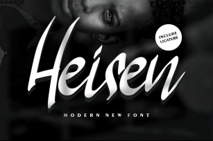 Heisen | Modern New Font Font Download
