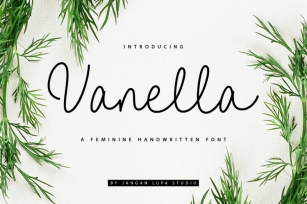 Vanella Feminine Script Font Font Download
