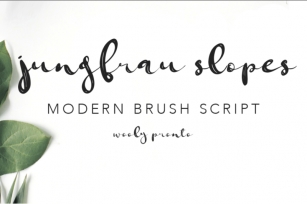 Jungfrau Modern Calligraphy Brush Script Font Download