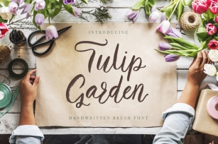 Tulip Garden Script. Font Download