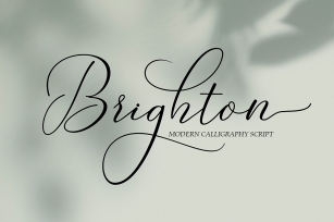 Brighton Script Font Download