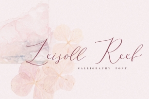 Leisoll Reef, calligraphy font Font Download
