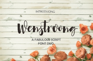 Wenstroong Scipt Font Download