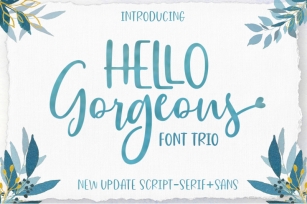 Hello Georgeous Script Font Trio Font Download