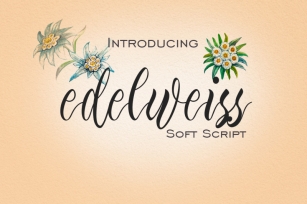 Edelweiss Soft Script Font Download