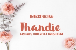 Thandie Script Font Font Download