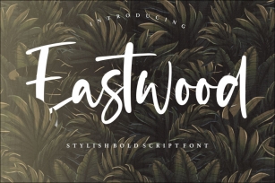 Eastwood Stylish Bold Script Font Font Download