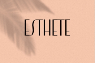 Esthete. Elegant  & Classic Sans Serif Font. Font Download