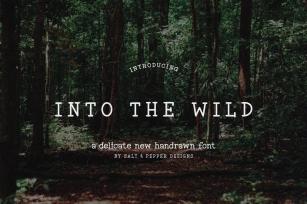 Into the Wild Font Font Download