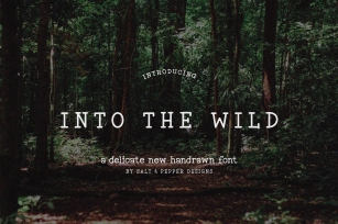 Into the Wild Serif Font Download