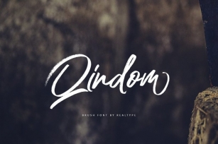 Qindom Brush Typeface Font Download