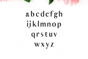 Cordaro Sans Serif Typeface Font Download