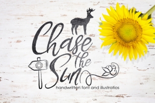 Chase The Sun. Font & illustrations Font Download