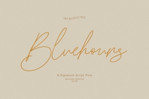 Bluehours Signature Font Font Download