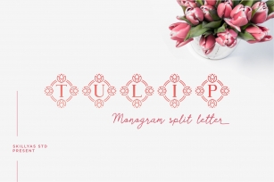 Tulip Monogram split letter Font Download