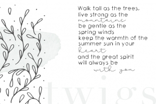 Twigs - A Handwritten Scribble Font Font Download