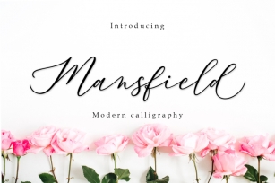 Mansfield script Font Download