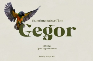 Gegor | Serif Display Font Font Download