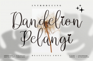 Dandelion Pelangi Font Download