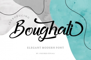 Boughati - Elegant Modern Font Font Download