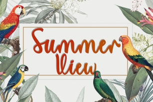 Summer View Font Download