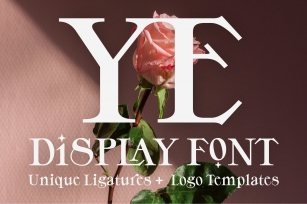 YE Display Font Download