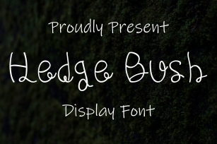 Hedge Bush Font Download