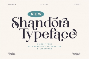 Shandora a Modern & Classy Serif Font Font Download