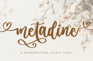 Metadine Font Download