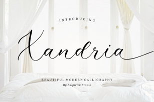 Xandria Beautiful Modern Calligraphy Font Font Download