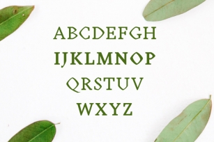 Achazia Serif Typeface Font Download