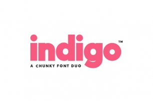 Indigo Font Duo (2 Fonts) Font Download