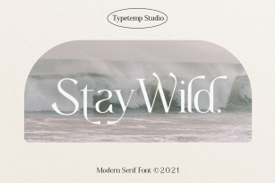 Stay Wild Serif Display Font Download