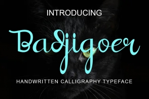 Badjigoer Handwritten Calligraphy Typeface Font Download