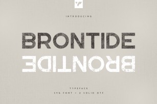 Brontide Typeface Font Download