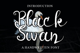 Black Swan Font Download