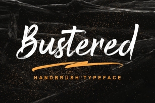 DS Bustered – Handbrush Typeface Font Download