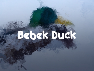 B Bebek Duck Font Download