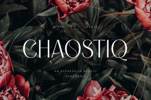 Chaostiq - Modern Sans Serif Font Download