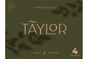 Classy Taylor Typeface Font Download
