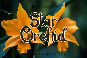 Star Orchid Font Download