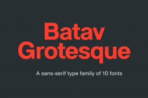 Batav Grotesque (10) Font Download
