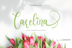 Carelina Font Download
