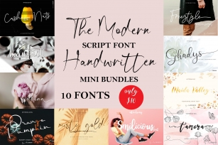 The Modern Script Mini Bundle Font Download