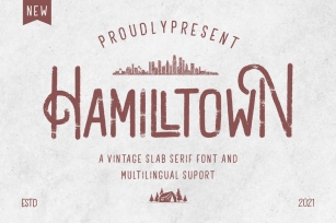 Hamilltown - Slab Serif Font Font Download