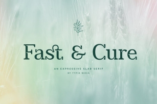 Fast and Cure - Modern Expressive Slab Serif Font Download