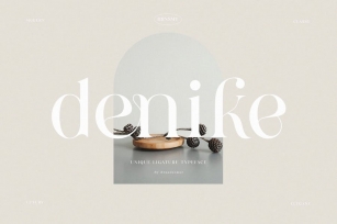 Denike - Stylish Modern Serif Font Download